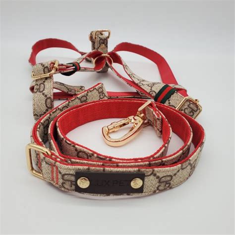 gucci dog raincoat|gucci dog collar and leash.